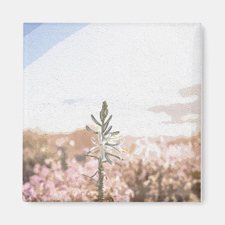 Imán The Moment Co. Magnet