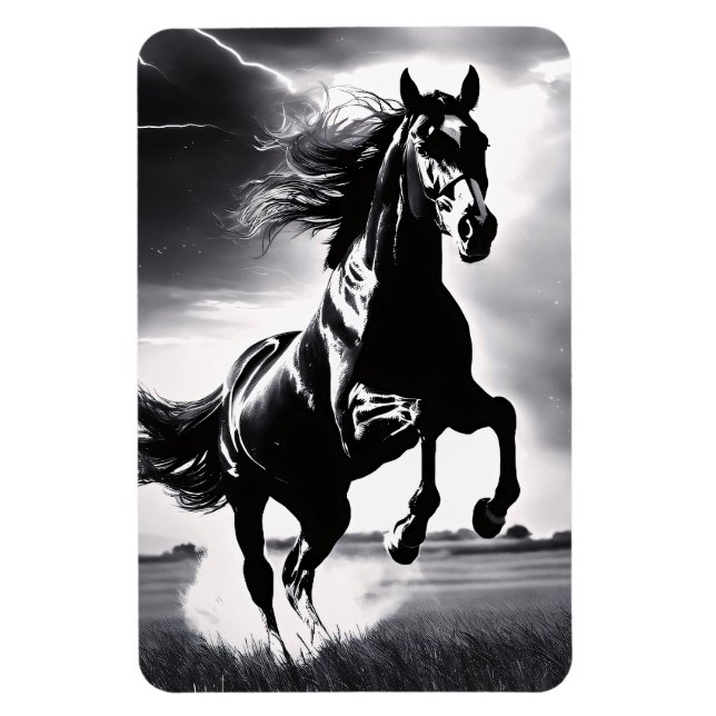 Imán The Stallion Stud (Vertical)