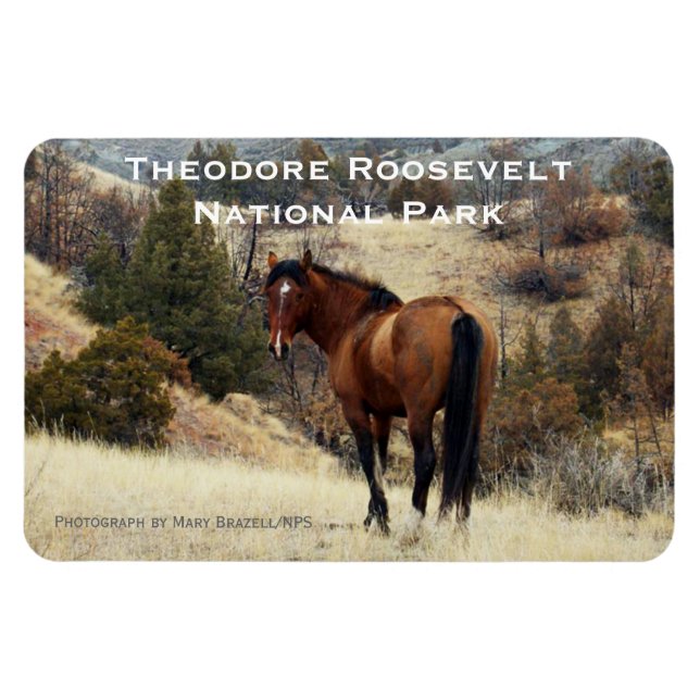 Imán Theodore Roosevelt NP Souvenir Magnet (Horizontal)