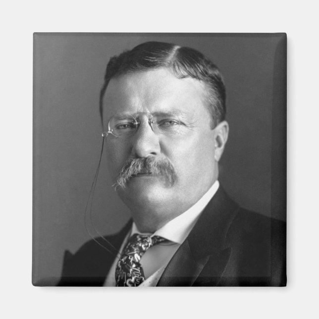 Imán Theodore Roosevelt Teddy Presidente Republicano (Frente)
