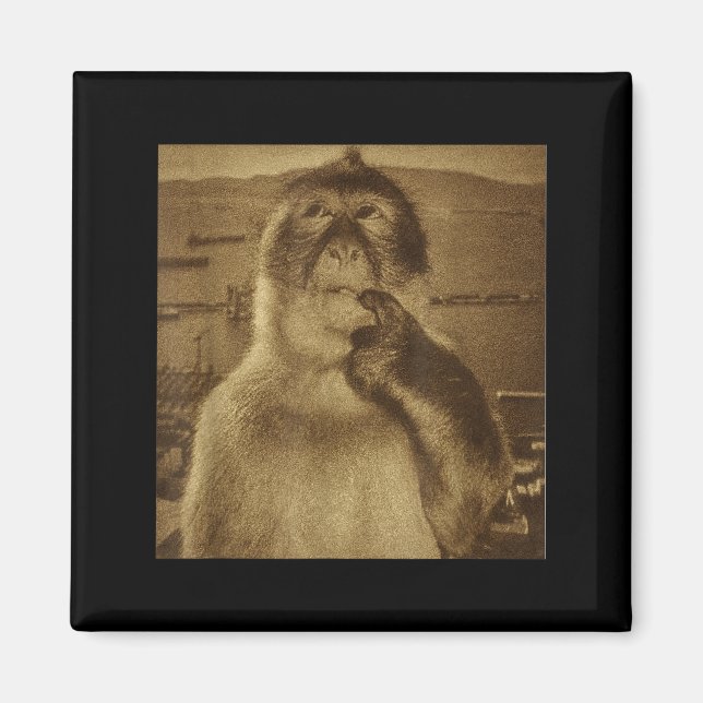 Imán Thinking Monkey Meme Vintage Retro  (Frente)