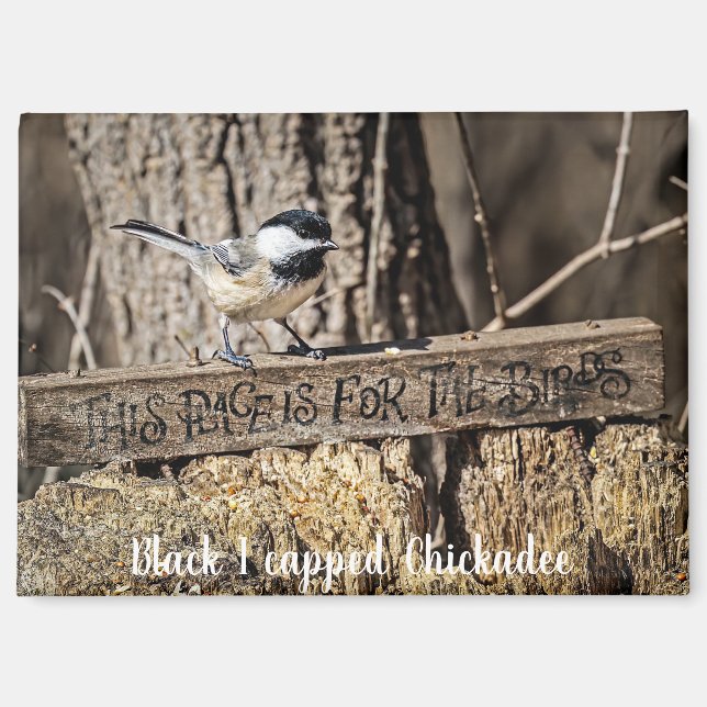 Imán This place is for the birds magnet (Anverso)