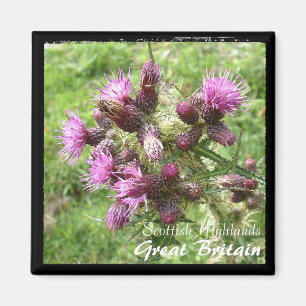 Imán Thistle, Escocia Highlands, Reino Unido (Magnet)
