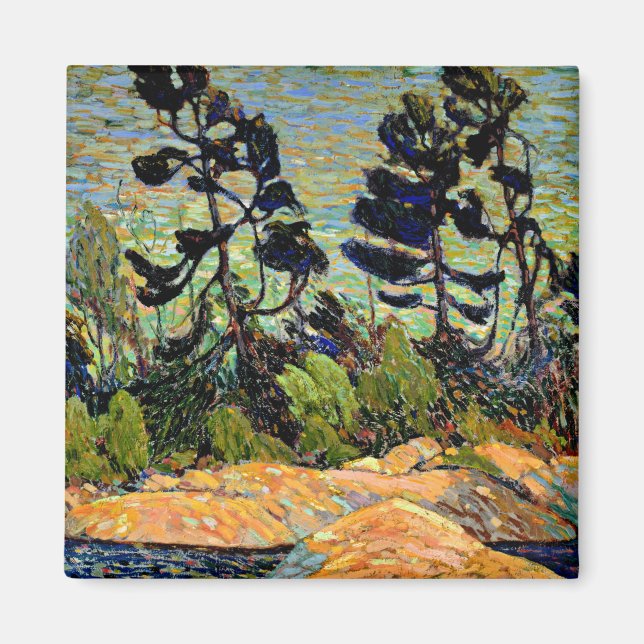 Imán Thomson - Entrada de Bying, Bahía Georgiana (Frente)