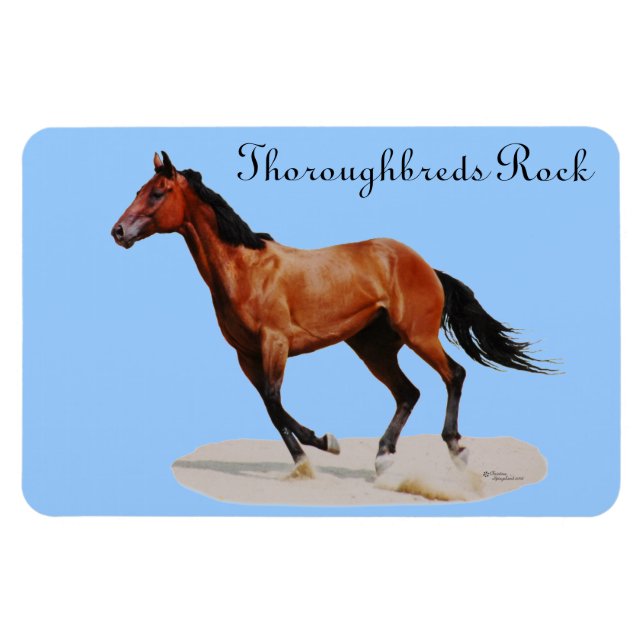 Imán Thoroughbreds Rock Premium Magnet (Horizontal)
