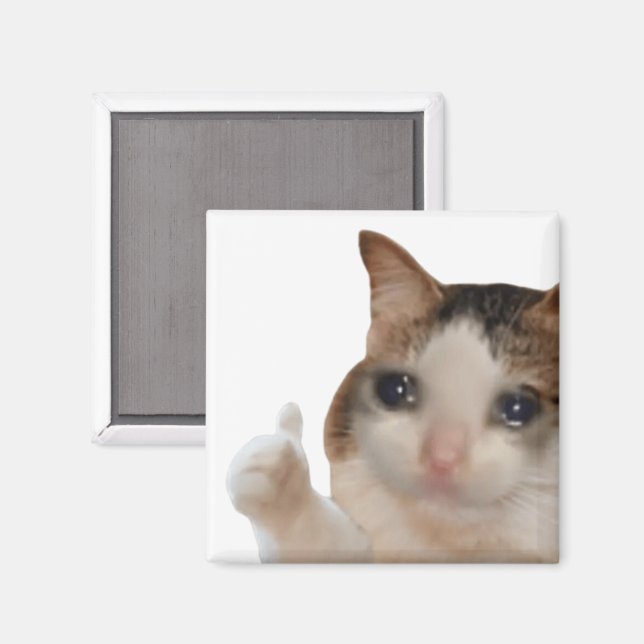 Imán Thumbup Ok Cat Meme Magnet (Anverso/Reverso)