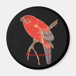 Imán Thunder_Cove, loro rojo tropical