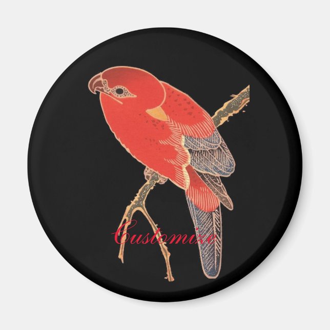 Imán Thunder_Cove, loro rojo tropical (Frente)