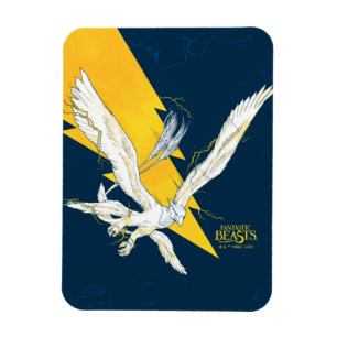 Imán Thunderbird