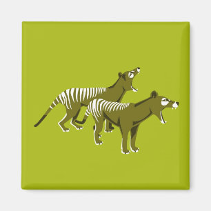 Imán Thylacine
