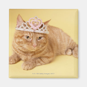Imán Tiara que lleva del gato