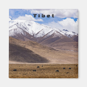 Imán Tíbet - Paisaje montañoso con yaks
