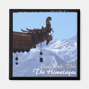 Imán Tíbet, techos de Lhasa, templo Jokhang (imán)