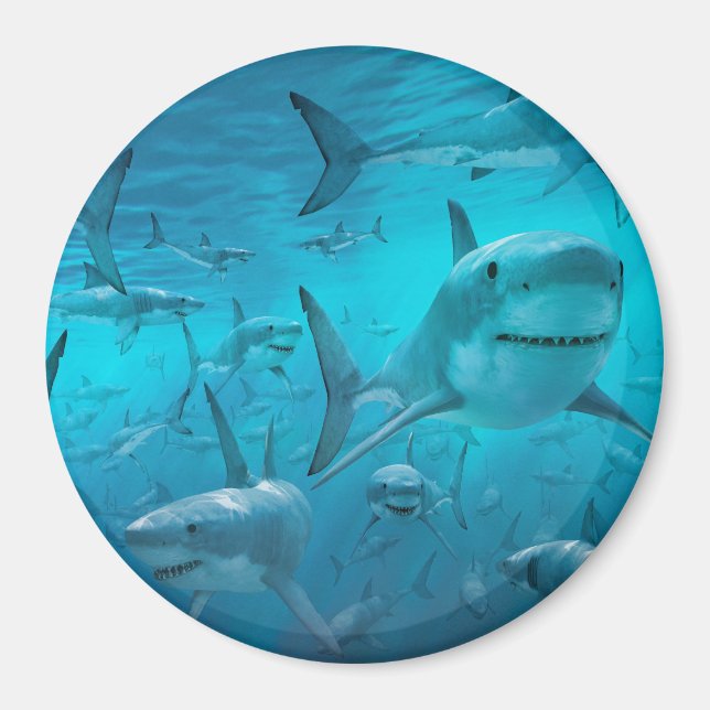 Imán tiburón (Frente)