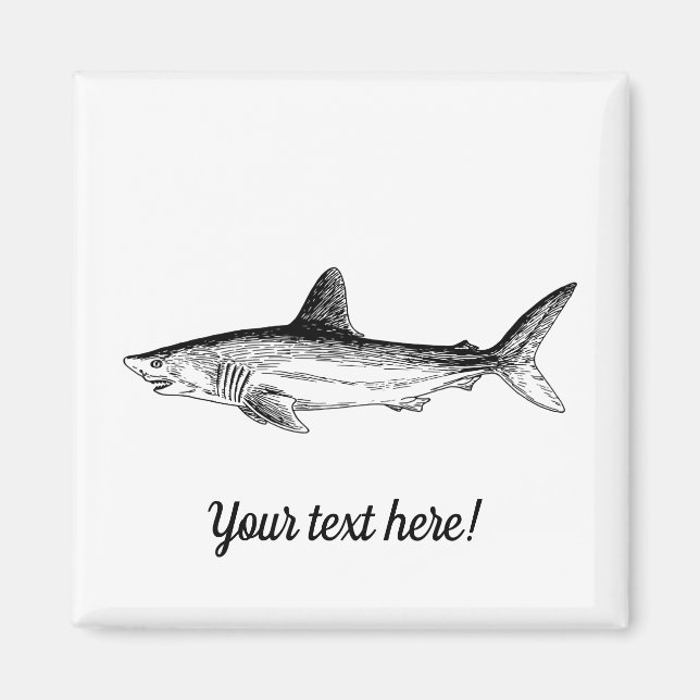 Imán Tiburón (Frente)