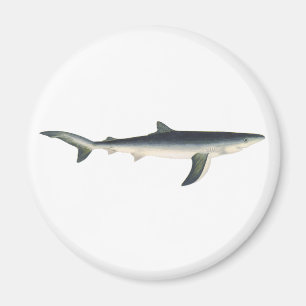 Imán Tiburón Azul, Vida Marina Acuática Oceánica Vintag