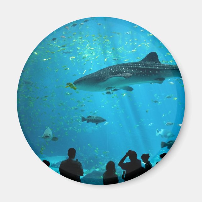 Imán Tiburón ballena macho en acuario de Georgia (Frente)