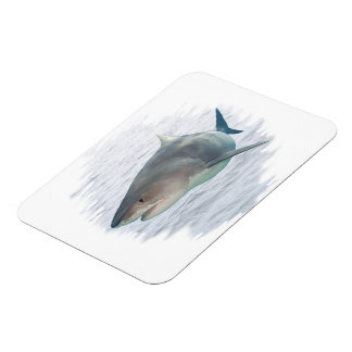 Imán Tiburón en agua 3X4 Premium FlexMagnet