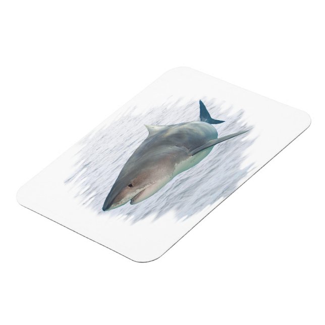 Imán Tiburón en agua 3X4 Premium FlexMagnet (Lado Izquierdo)