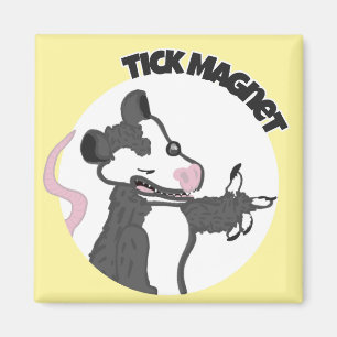 Imán Tick Magnet Magnet