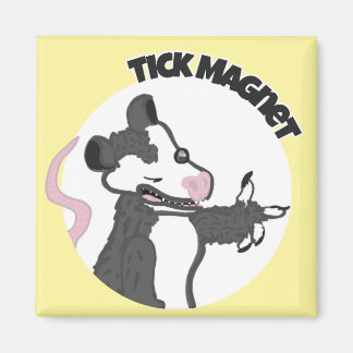 Imán Tick Magnet Magnet