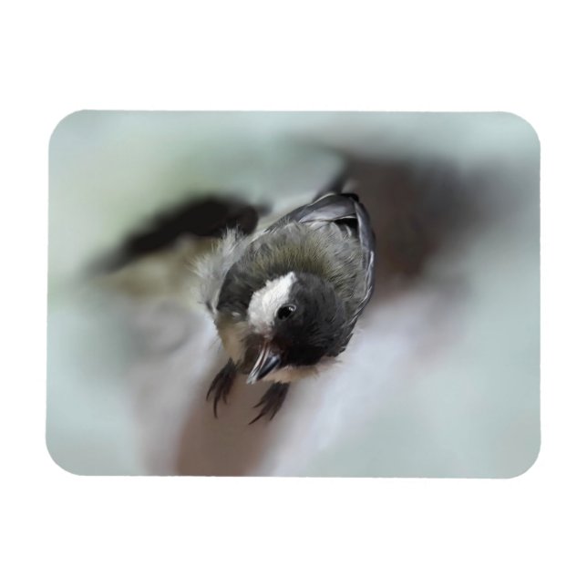 Imán Tidi my Bird the Parus Major (Horizontal)