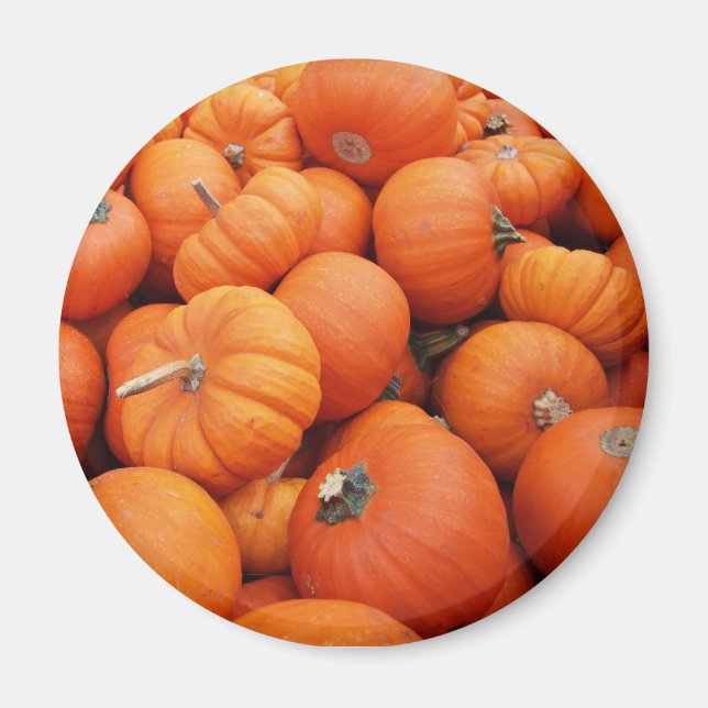 Imán Tiempo de calabaza (Frente)