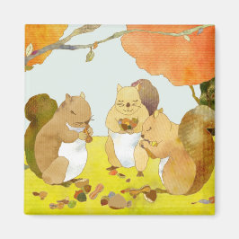 Imán Tiempo de cosecha de las ardillas