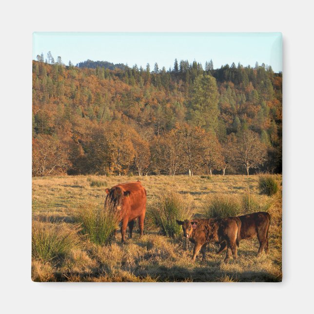 Imán Tiempo de familia......... (Frente)