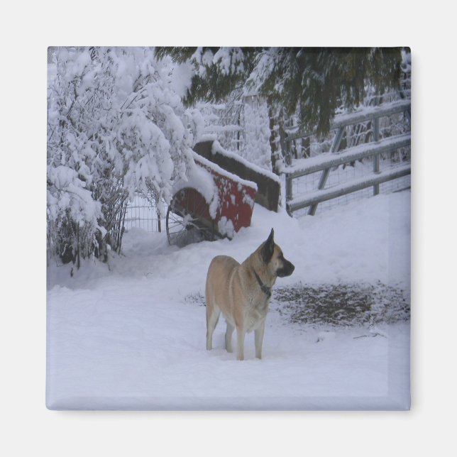 Imán Tiempo de invierno..... (Frente)
