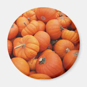 Imán Tiempo de la calabaza