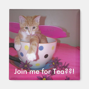 Imán Tiempo del té