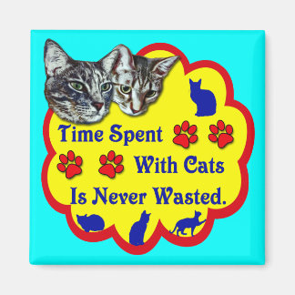 Imán Tiempo Pasado Con Gatos