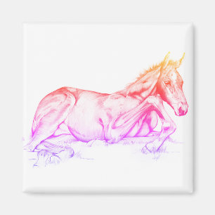 Imán Tiempo silencioso (arco iris)