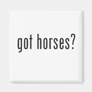 Imán ¿tiene caballos?