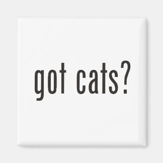 Imán ¿tiene gatos?
