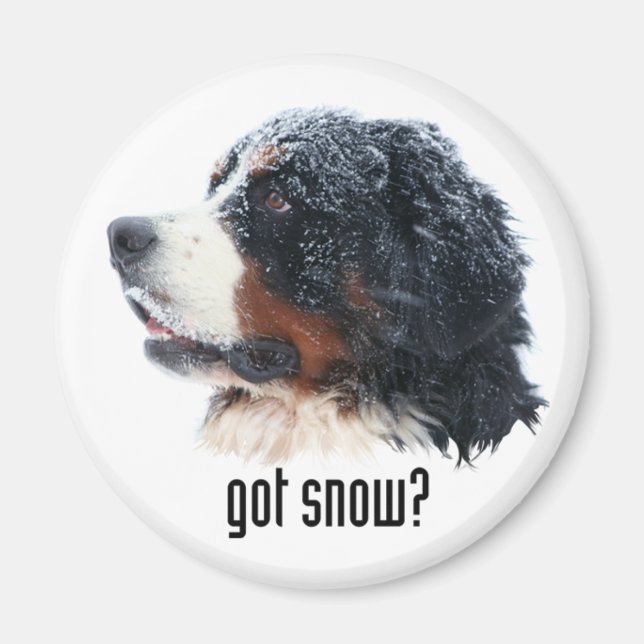 Imán ¿tiene nieve? Bernese Magnet (Frente)