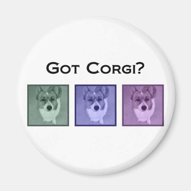 Imán ¿Tienes a Corgi? Cute Corgis (Frente)