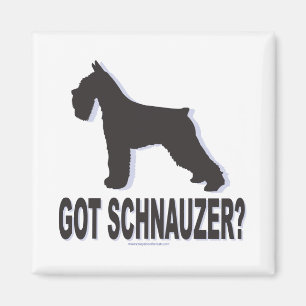Imán ¿Tienes a Schnauzer?