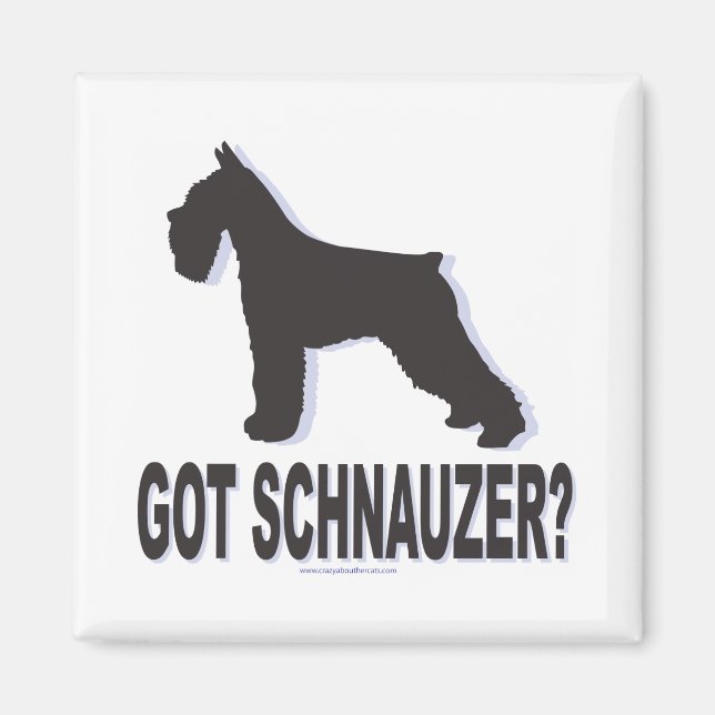 Imán ¿Tienes a Schnauzer? (Frente)