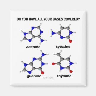 Imán ¿Tienes Cubiertas Todas Tus Bases? (Bases de ADN)