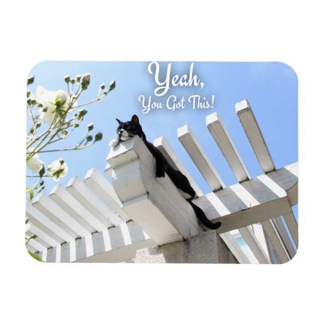 Imán Tienes este gato de eslogan motivacional (Horizontal)