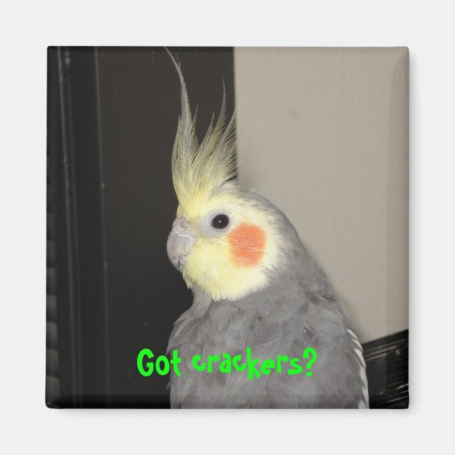 Imán ¿Tienes galletas? (Frente)