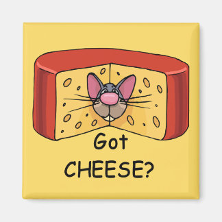 Imán ¿Tienes queso?