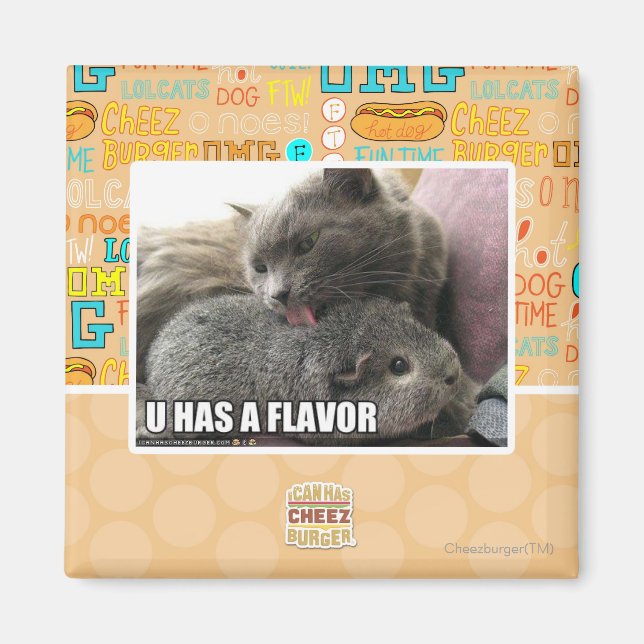 IMÁN TIENES UN SABOR (Frente)