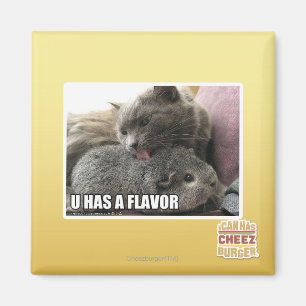 IMÁN TIENES UN SABOR