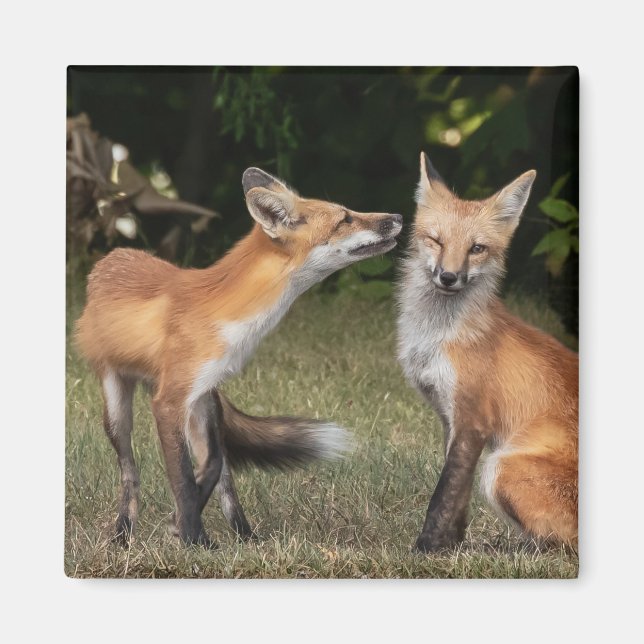 Imán ¿Tienes Una Moneda? (Frente)