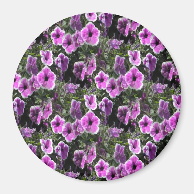 Imán Tierra de Petunia... (Frente)