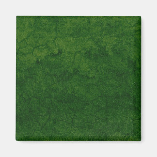 Imán Tierra Verde
