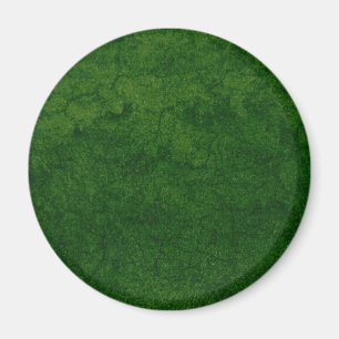 Imán Tierra Verde